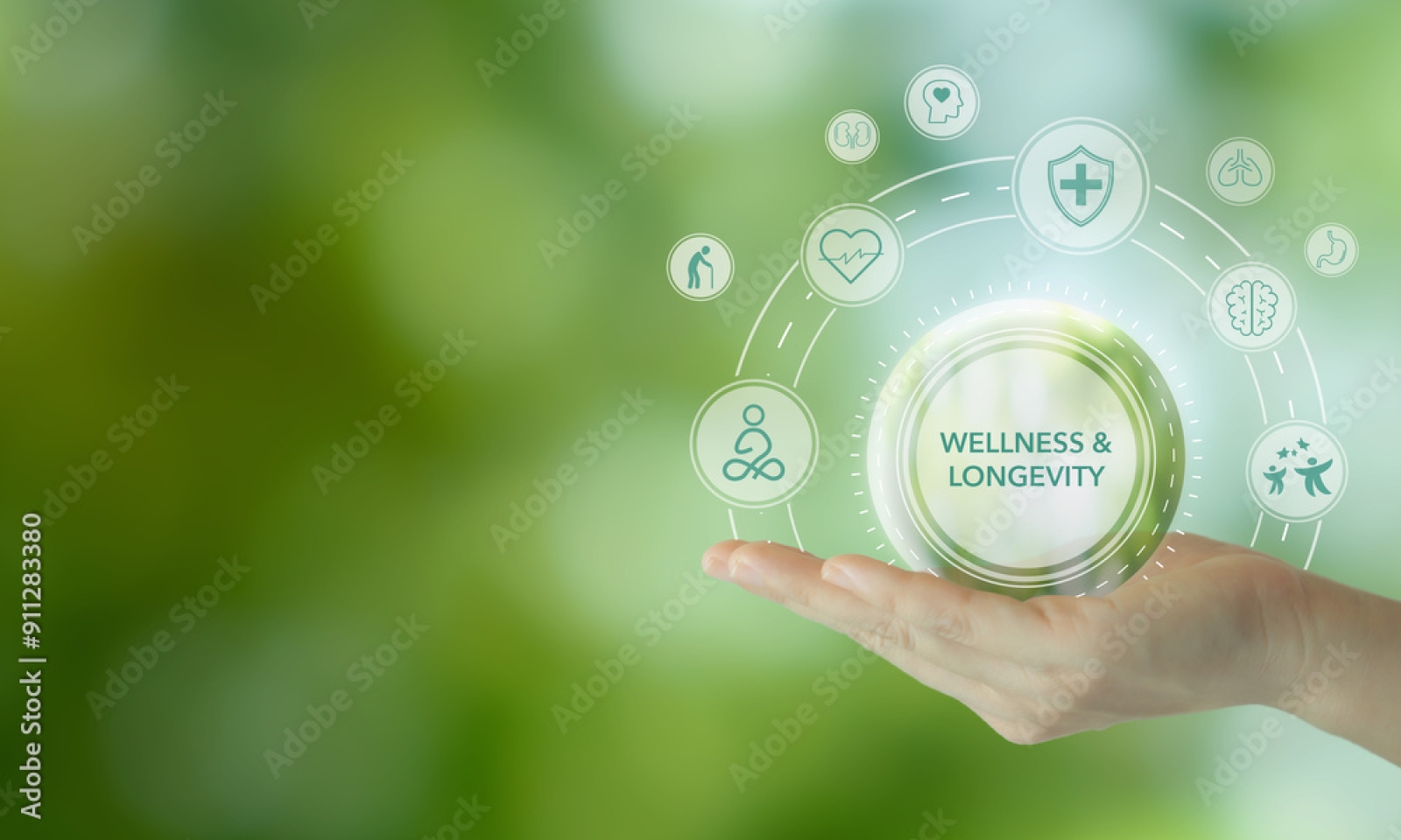 Long-Term Care Insurance